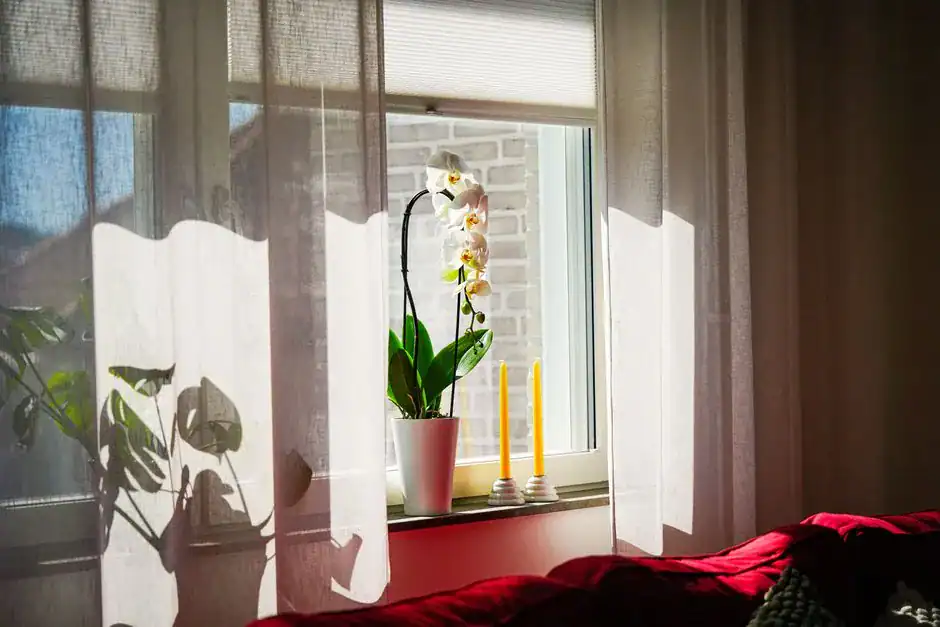 Sheer white curtains letting sunlight into a room