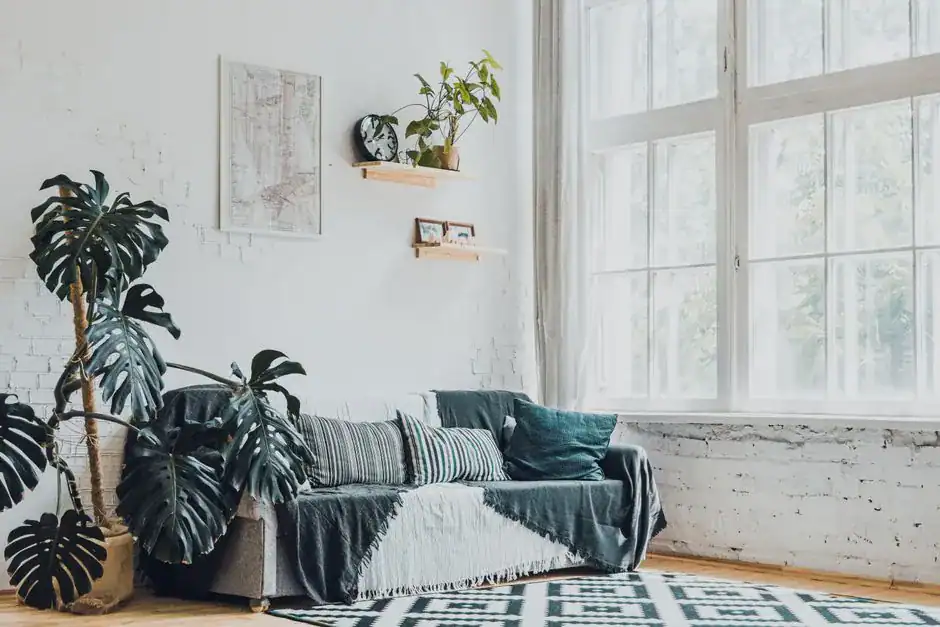 A bright living room filled with leafy green plants