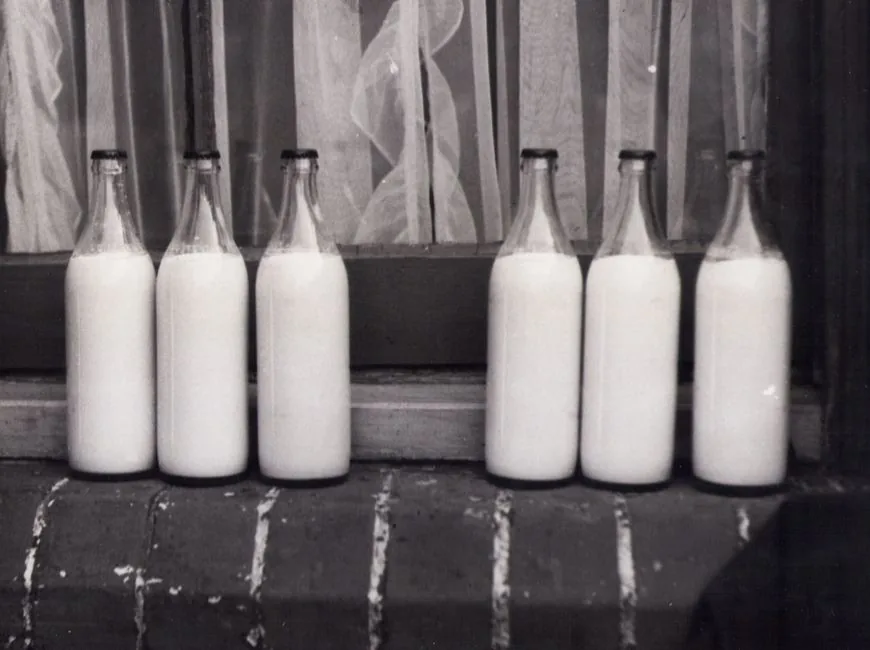 Glass milk bottles lined up on a doorstep