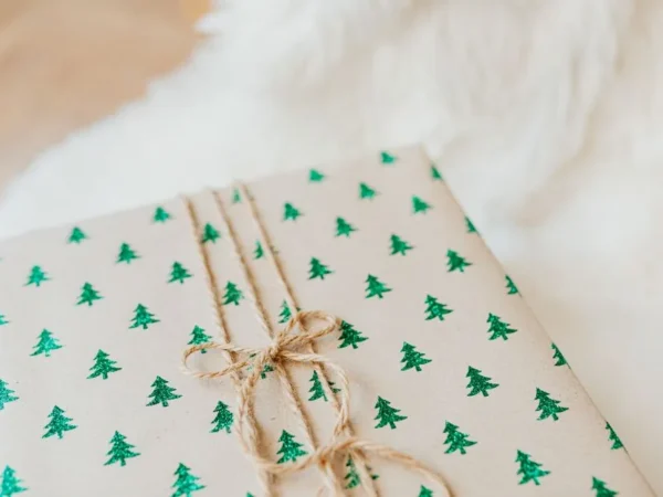 A gift wrapped in kraft paper and tied with twine
