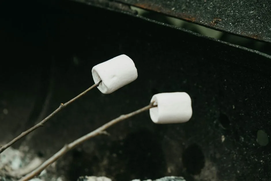 Marshmallows toasting on sticks over a fire