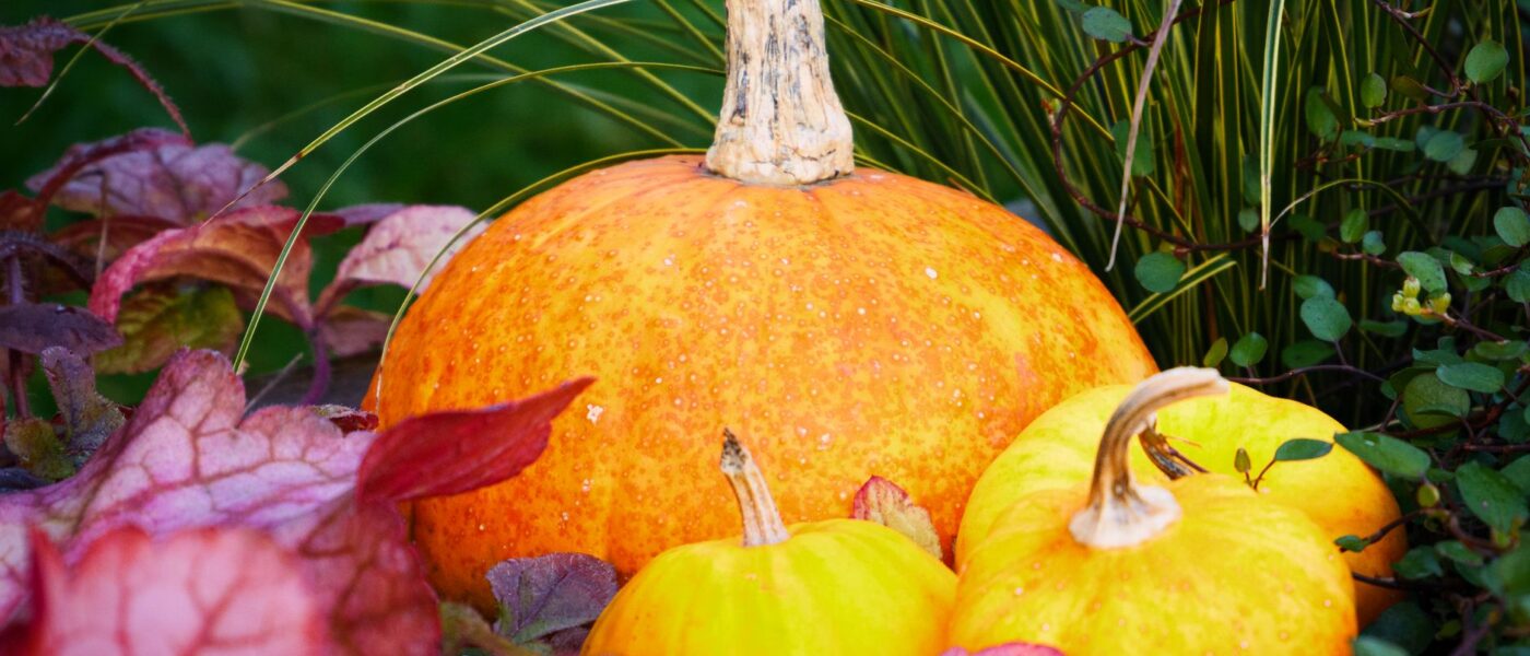 Old-Fashioned Fall Traditions From My Childhood That I Still Keep